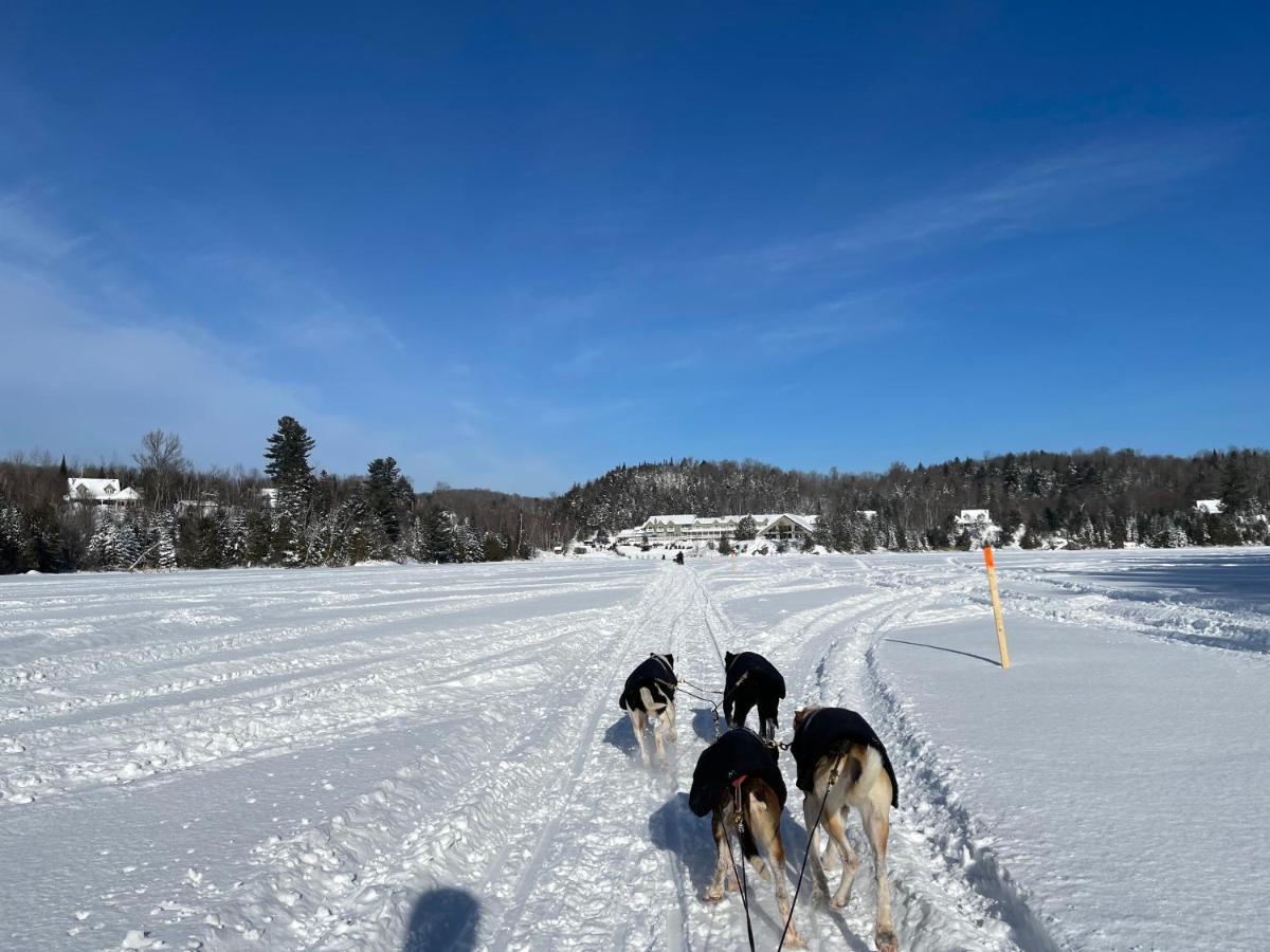 Pourvoirie Du Lac Blanc Saint-Alexis-des-Monts Zewnętrze zdjęcie